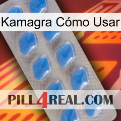 Kamagra Cómo Usar 22